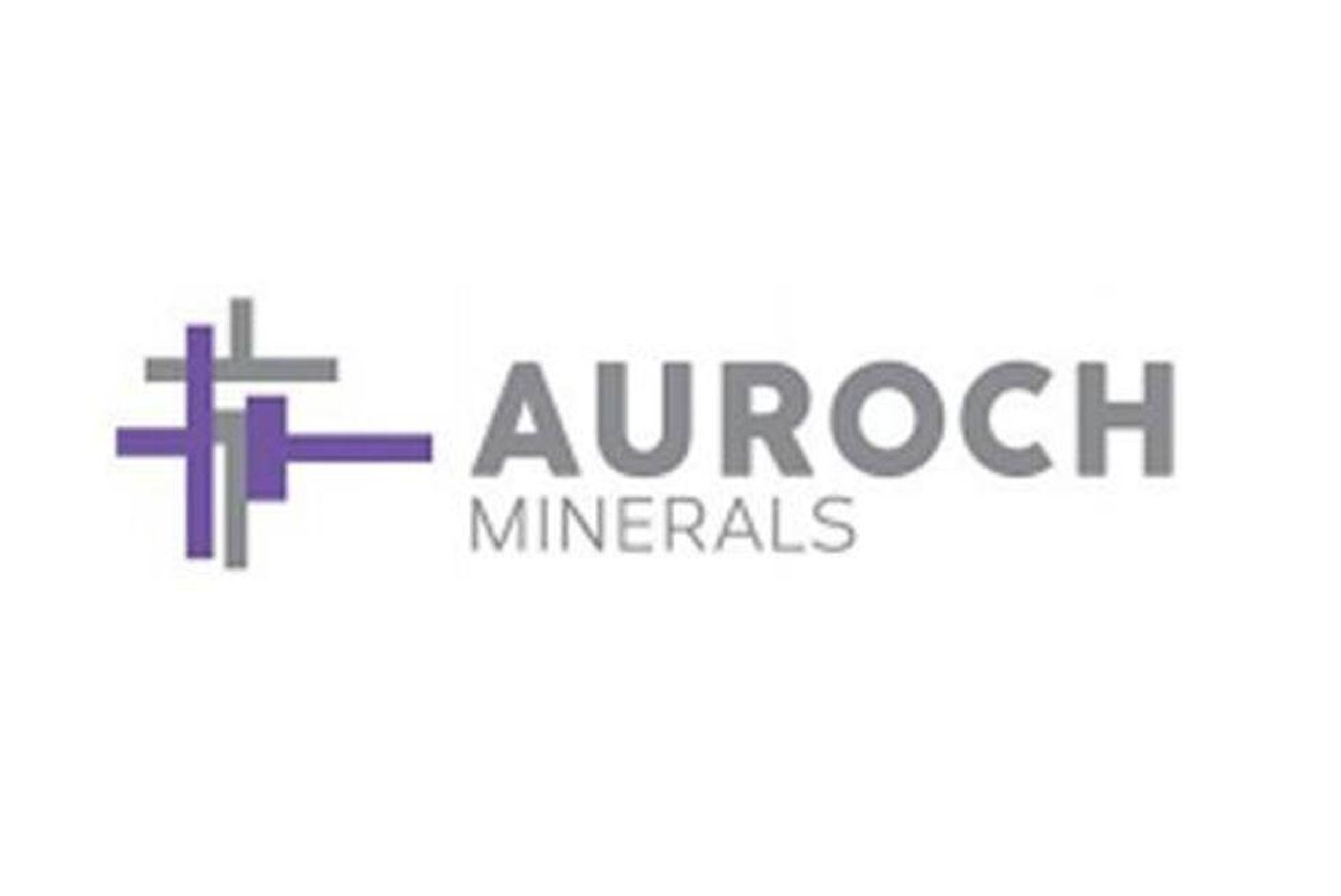 Auroch Minerals Limited (ASX: AOU) – Trading Halt