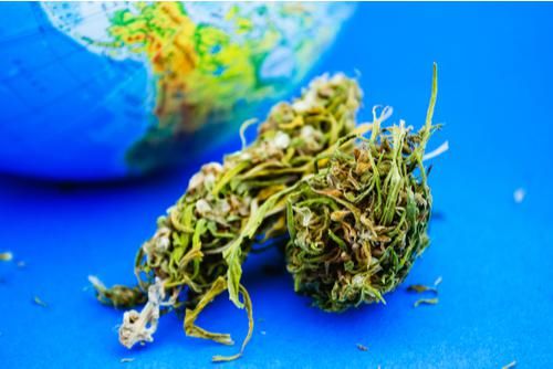 cannabis bud with australia on globe