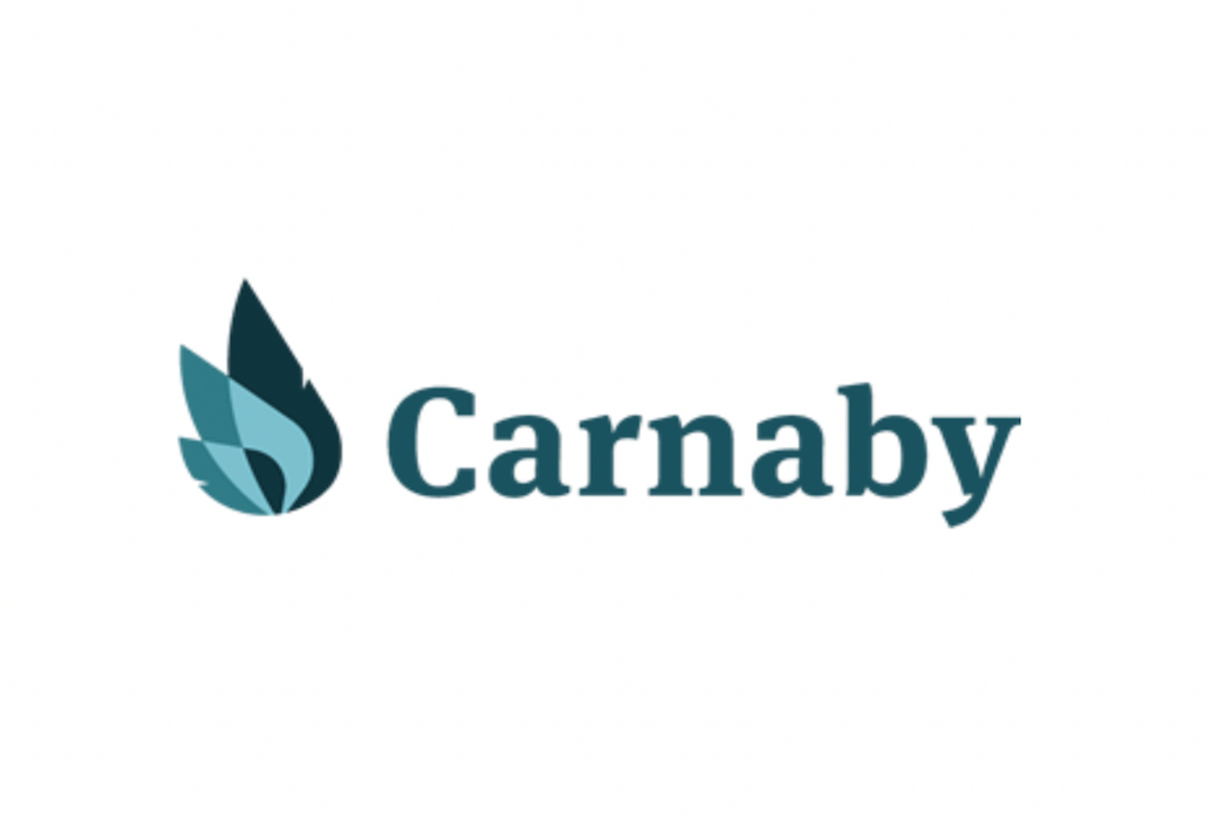 Carnaby Logo