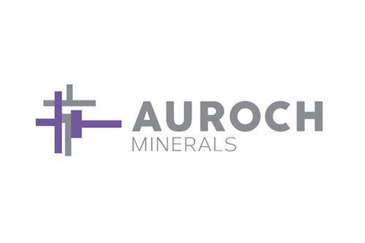 Auroch Minerals: Exploring High-Grade Nickel Sulfides in Western Australia