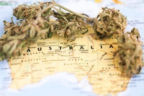 Canadian Cannabis Firms Alter Australian Strategies