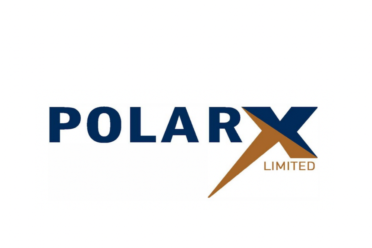 polarX logo